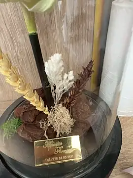 Mrdim26 online show from October 11, 2025, 12:58 pm