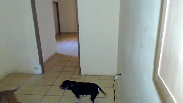 BlondZilla online show from February 1, 2026, 4:16 pm