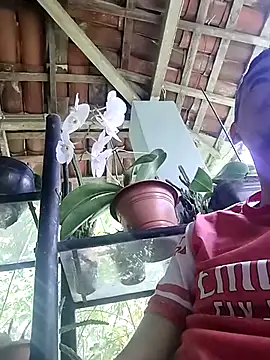 Boragozarvem online show from October 7, 2025, 2:58 pm