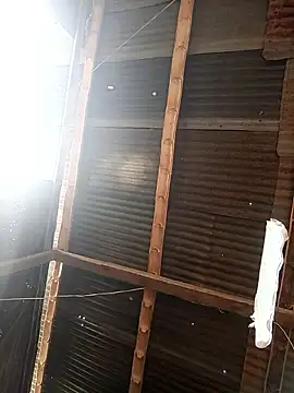 Snapshot of Davir2001 chatting on February 27, 2026, 1:44 pm Davir2001 online show from February 27, 2026, 1:44 pm