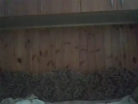 Snapshot of Maksymilian1 chatting on November 11, 2025, 8:36 am Maksymilian1 online show from November 11, 2025, 8:36 am