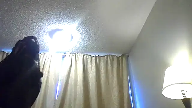 Flossee online show from February 13, 2026, 5:42 pm