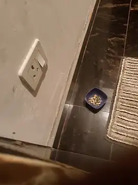 HootedTuner online show from November 13, 2025, 8:08 pm