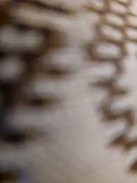 mojaymort online show from November 11, 2025, 10:54 pm