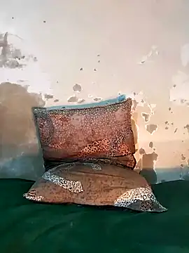 Snapshot of ParousFlow chatting on December 18, 2025, 8:26 pm ParousFlow online show from December 18, 2025, 8:26 pm