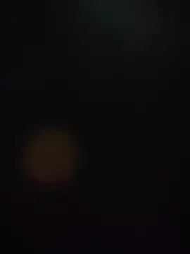 MyDick4You666 online show from January 17, 2026, 11:59 am