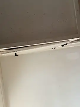 curis4270panda online show from February 15, 2026, 7:54 pm