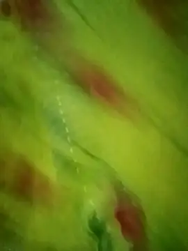 Snapshot of Shiya_janu chatting on October 27, 2025, 11:14 am Shiya janu online show from October 27, 2025, 11:14 am