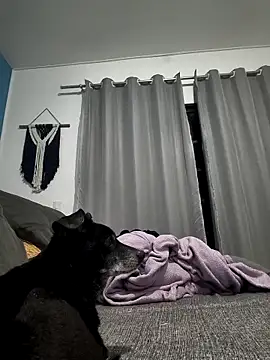 mikeara90 online show from October 22, 2025, 10:31 pm