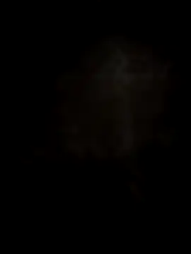 Dior 521 online show from November 17, 2025, 4:07 am