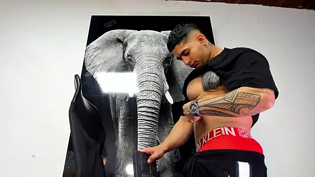 king falconer online show from October 31, 2025, 2:12 am