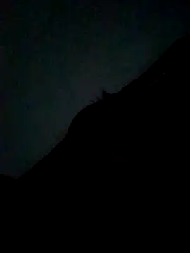 CatchingBouquet online show from September 21, 2025, 7:37 pm