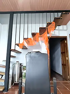 Hiroshi Shen online show from November 5, 2025, 11:21 am