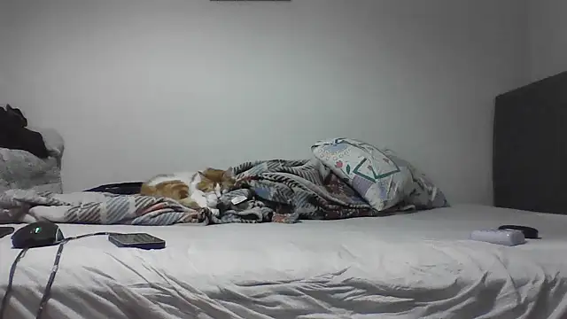 Snapshot of kocasosisli chatting on May 30, 2026, 5:43 pm kocasosisli online show from May 30, 2026, 5:43 pm