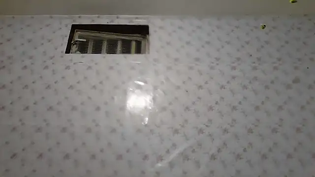 Roselingalvis13 online show from February 2, 2026, 2:43 am