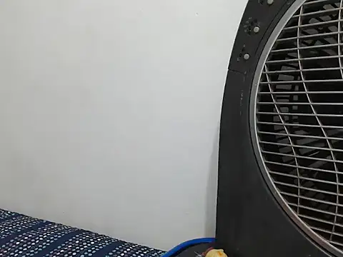 CuteAdha online show from March 20, 2026, 2:11 pm