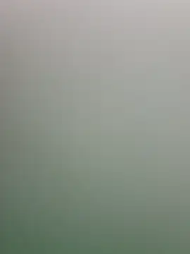 guridosul051 online show from April 13, 2026, 11:48 am