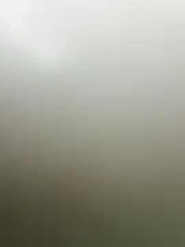 guridosul051 online show from April 20, 2026, 11:13 am