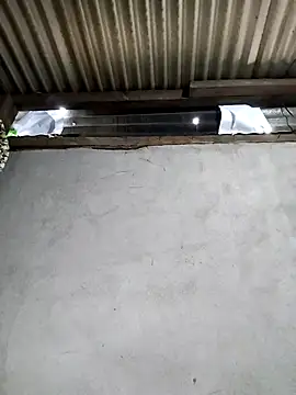 Snapshot of Baby-sexyass96 chatting on February 26, 2026, 1:59 am Baby-sexyass96 online show from February 26, 2026, 1:59 am