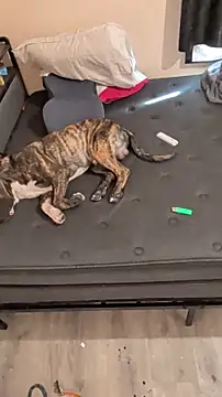 Cnutt310 online show from March 2, 2026, 12:02 am