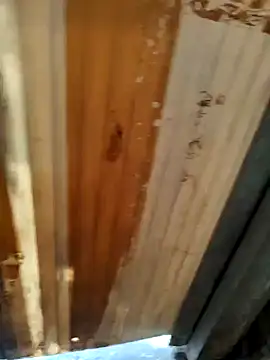 Cut ragni online show from September 14, 2025, 11:31 am