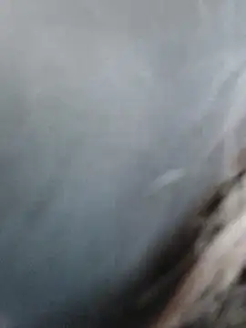 meomeocute online show from March 11, 2026, 10:21 am