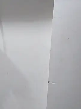 sneha bebo online show from November 1, 2025, 3:47 pm