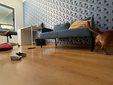 cumman789860 online show from October 2, 2025, 2:35 pm