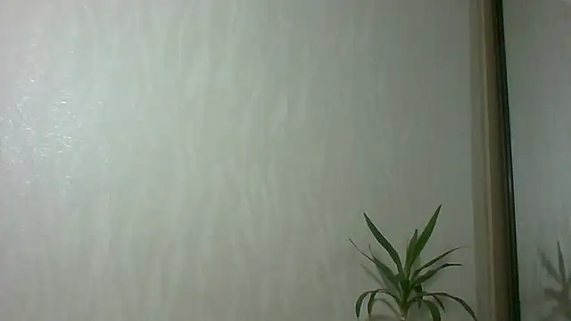 Marellaa online show from December 4, 2025, 11:52 am