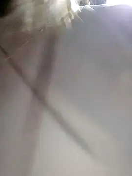 daisy will online show from December 3, 2025, 2:08 am