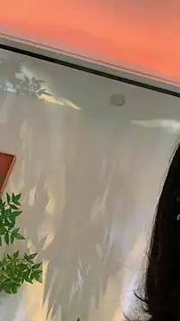 zhizhinaigai online show from February 18, 2026, 4:41 am