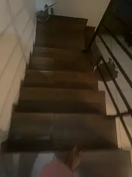 Snapshot of pretalst chatting on November 19, 2025, 7:52 am pretalst online show from November 19, 2025, 7:52 am