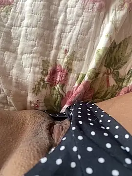 Snapshot of pretalst chatting on February 21, 2026, 11:33 am pretalst online show from February 21, 2026, 11:33 am