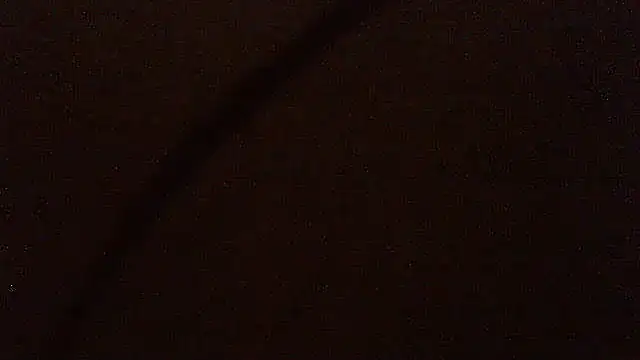 pietje1991 online show from June 9, 2026, 12:22 am