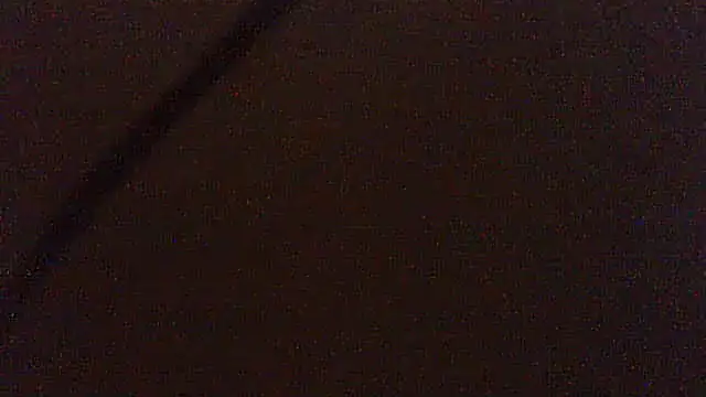 pietje1991 online show from June 12, 2026, 12:59 pm