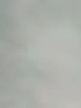 saik 03 online show from February 17, 2026, 7:31 pm