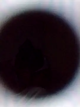 Cumnowd1 online show from October 19, 2025, 1:28 am