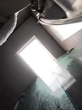 Cami Konor online show from January 7, 2026, 3:14 pm