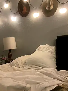 thejohnryancollection online show from November 4, 2025, 6:12 am