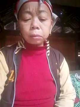 VangLe73 online show from February 17, 2026, 3:47 am