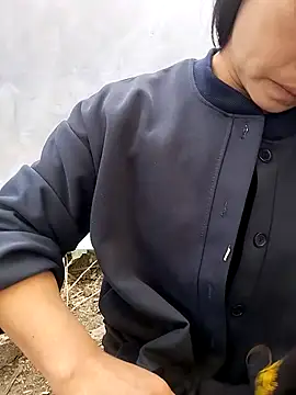 Tiyir597 online show from February 12, 2026, 8:31 am