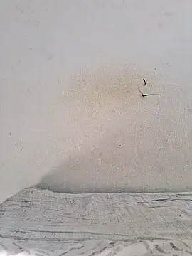 jujuhpimenta online show from November 12, 2025, 11:21 am