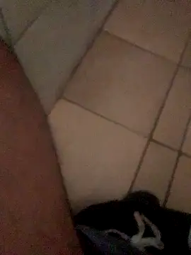 Lushen704 online show from October 29, 2025, 6:15 am