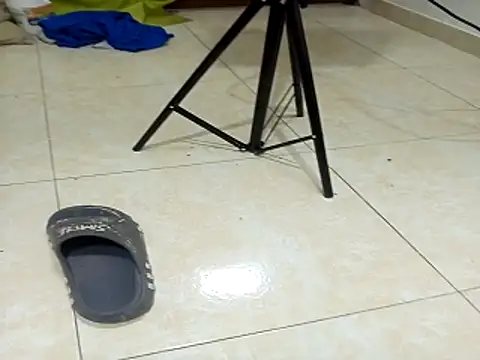 Snapshot of fromero27 chatting on December 22, 2025, 4:20 am fromero27 online show from December 22, 2025, 4:20 am