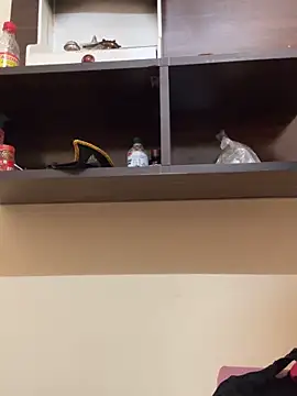 modelnishu online show from April 9, 2026, 6:19 am