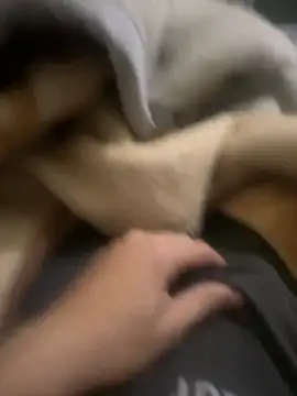 zackria online show from December 20, 2025, 12:29 am