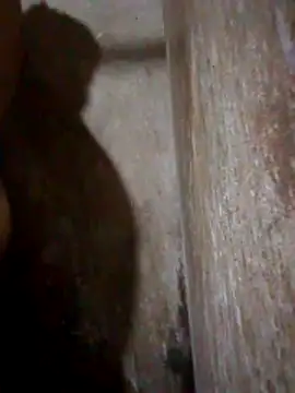 Lujor online show from April 11, 2026, 7:18 pm