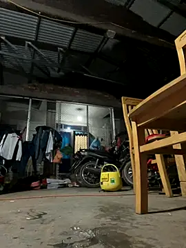 Sunny lotus online show from October 21, 2025, 6:52 pm