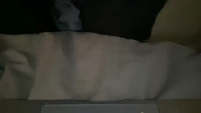 peterpapiNL online show from March 4, 2026, 7:31 pm