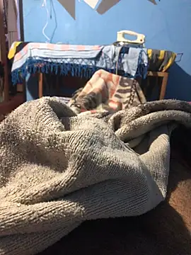 Snapshot of m11a2f3a4z5 chatting on March 22, 2026, 12:52 pm m11a2f3a4z5 online show from March 22, 2026, 12:52 pm